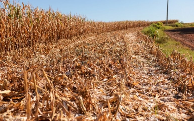 Projeto abre crédito orçamentário para apoiar famílias atingidas pela estiagem no sul do País