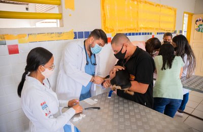 Meu Amigo Pet ultrapassa marca de 800 castrações e se torna o maior programa de saúde animal de Alagoas