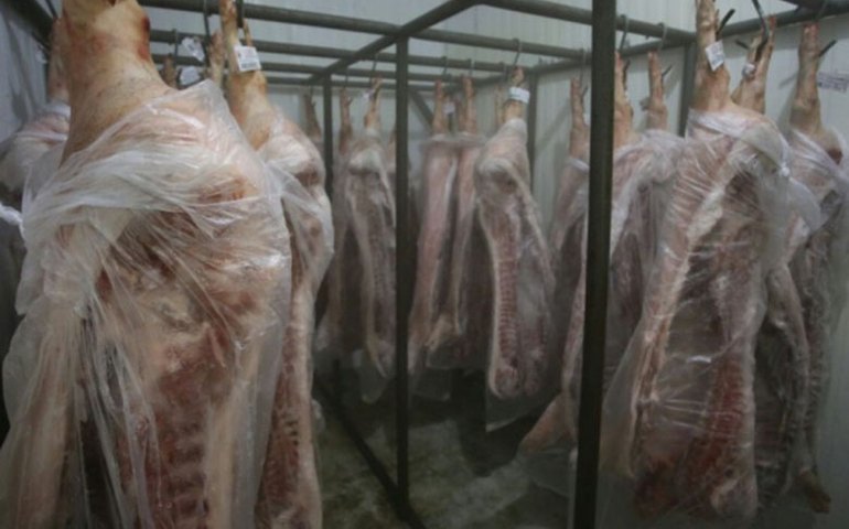 FPI do São Francisco apreende 1,4 toneladas de carne vencida em Arapiraca