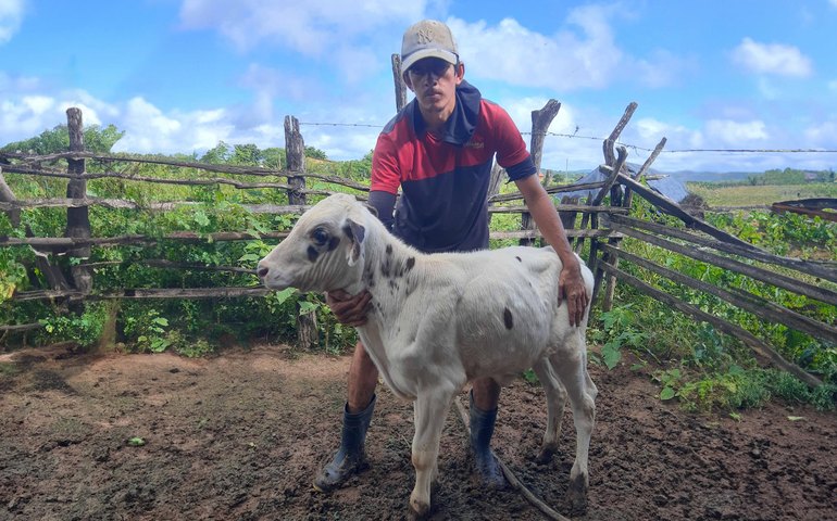 Parceria entre Alagoas e Confederação Nacional de Agricultores Familiares promove melhoramento genético do rebanho