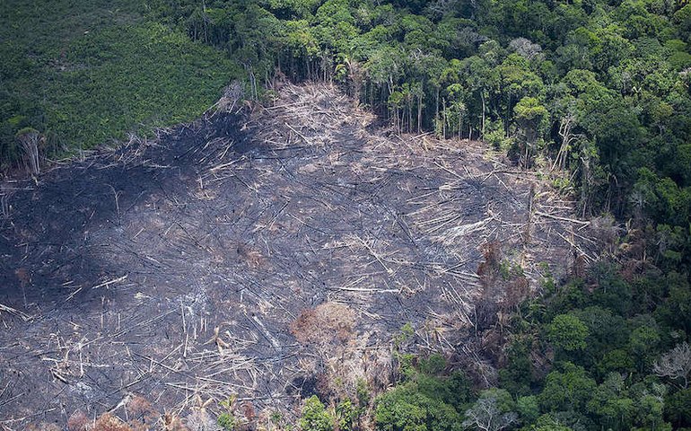 MPF acusa 2,2 mil por desmatamento ilegal de 321 mil hectares na Amazônia