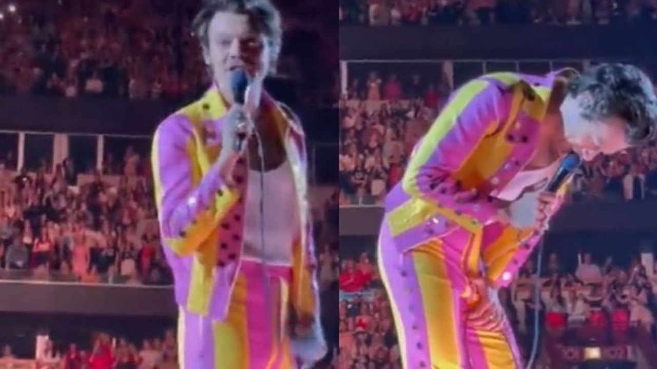 Harry Styles é atingido por garrafa na virilha durante show