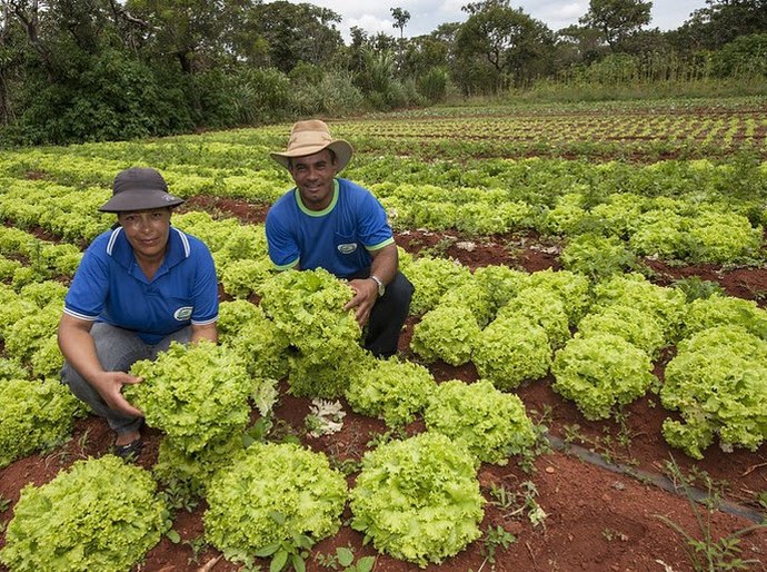 Com PAA, renda de agricultores familiares cresce até 30% e dependência do CadÚnico chega a cair 57%
