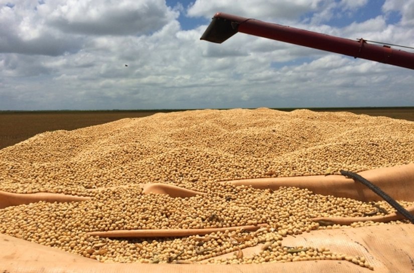 Rodada de negócios vai incentivar a produção de grãos em Alagoas