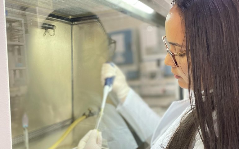 Pesquisadores da Uesb identificam 'bactérias do bem' em produção de linguiça artesanal