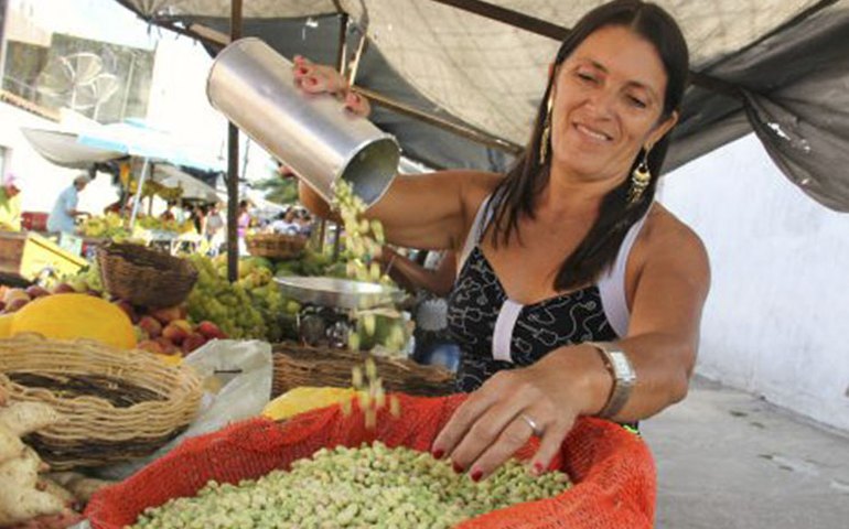 Tradicional Feira Livre de Arapiraca acontecerá na terça-feira