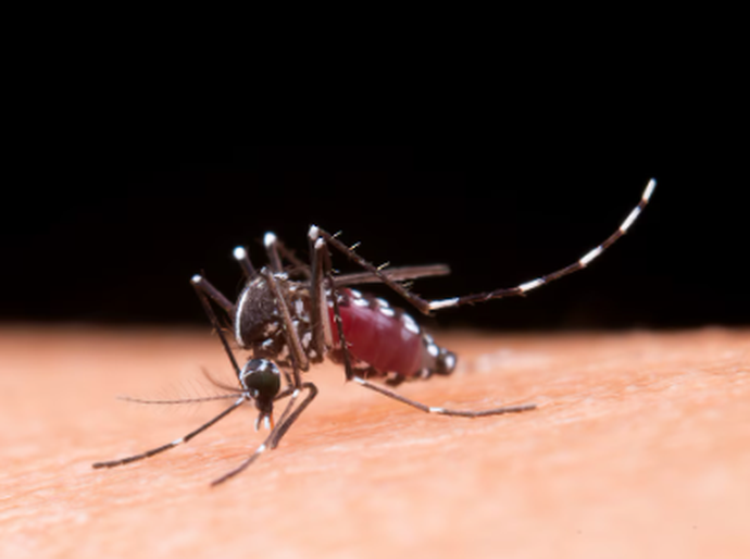 Alagoas fechou 2025 com quase 7 mil casos confirmados de Dengue