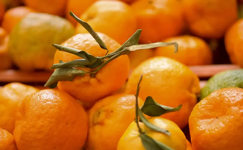 Suco de laranja: tarifa dos EUA pode causar perdas de até R$ 4,3 bilhões, afirma CitrusBR