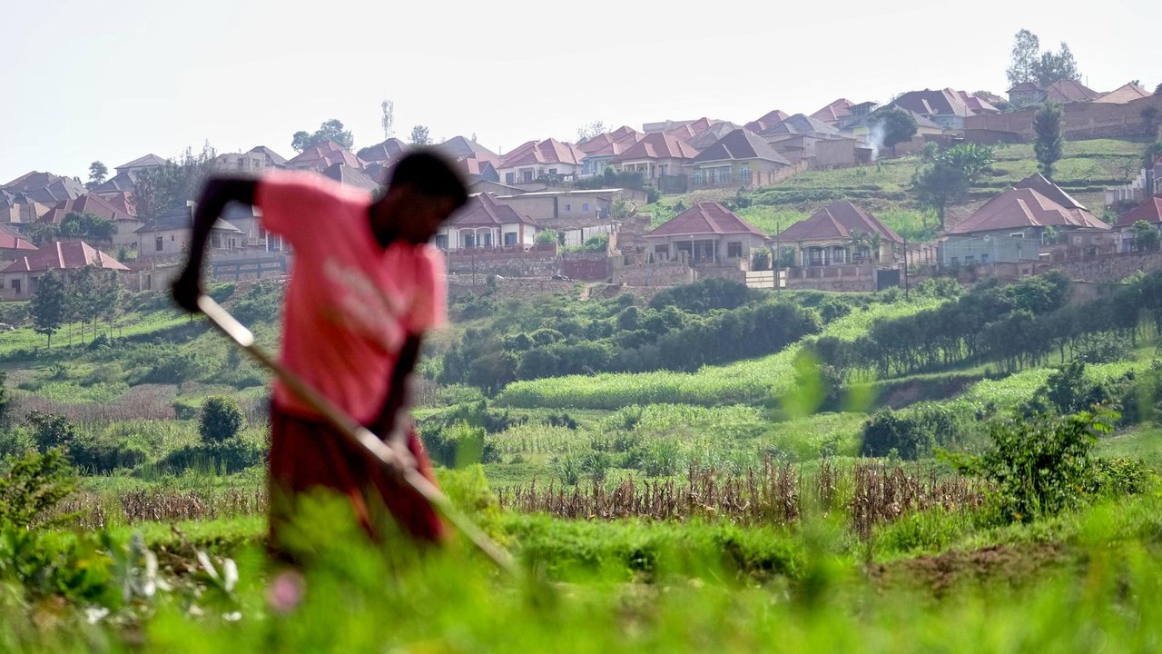 África Central: riqueza mineral e passado colonialista alimentam conflitos e crises humanitárias
