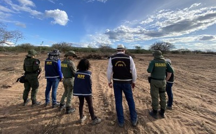 Fiscalização flagra desmatamento equivalente a 372 campos de futebol