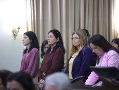 Audiencia Publica_Enfrentamento a violencia contra criancas e adolescentes -21.jpeg 