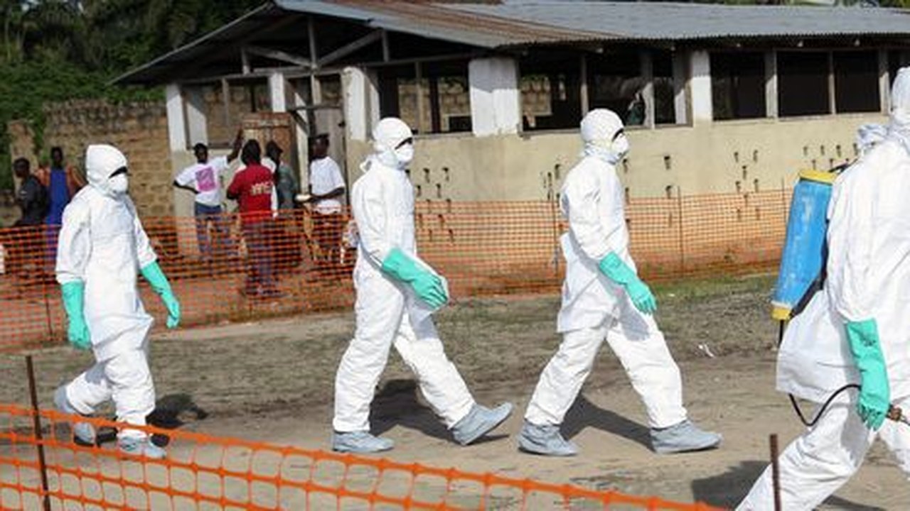 Ebola: OMS discute ética de uso de medicamentos experimentais