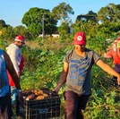 25ª Feira da Reforma Agrária reunirá mais de 150 camponeses em Maceió