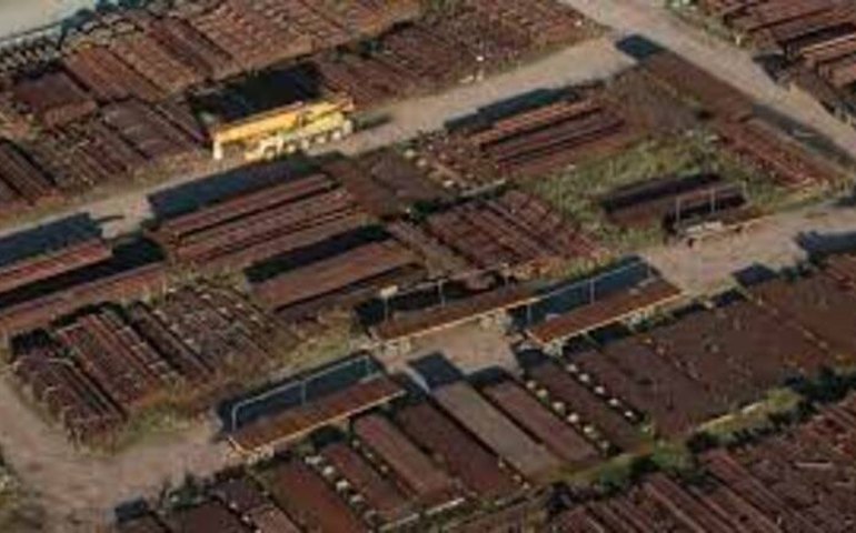 Vacinas e commodities impulsionam comércio recorde com os EUA, diz Amcham