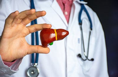 Além de danos ao fígado, hepatites também podem comprometer a saúde cardiovascular