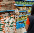 Antes de fazer compras, veja a diferença de preços da cesta básica em Maceió