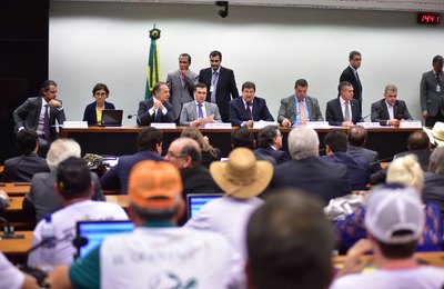 Defensores de vaquejada querem votação de PEC para permitir prática