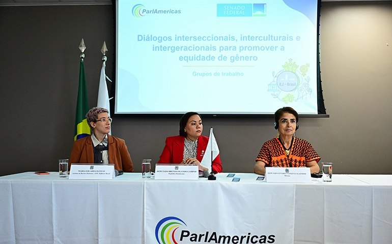 Encontro internacional debate caminhos para equidade de gênero na política