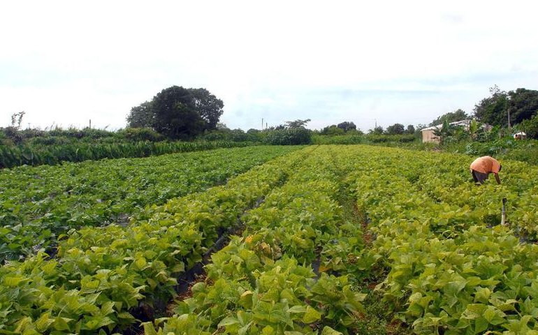 Governo lança Plano Safra para agricultura familiar da Amazônia