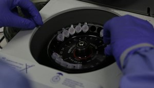 LABORATÓRIO CORONAVÍRUS / Foto: Divulgação/Josué Damacena (IOC/Fiocruz)