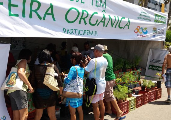 Feira Orgânica na Ponta Verde acontece neste domingo (18), das 8 às 12h