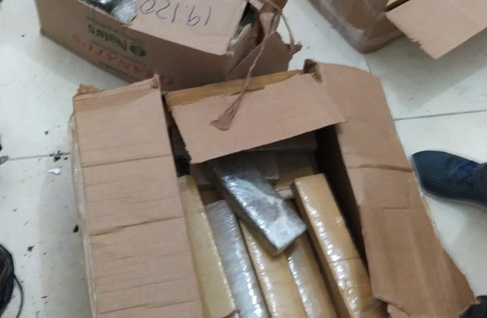 Maconha encontrada pela polícia / Foto: Polícia Civil de Sergipe