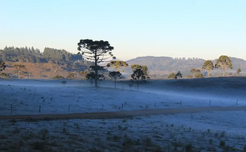 Massa de ar frio provoca queda de temperatura e geada no Sul do país