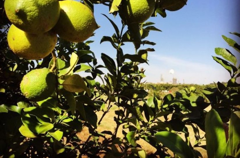 Helder Lima realiza missão em SP para captar investimentos