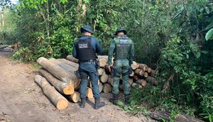 Mais de 80 toras de madeira nativas da Mata Atlântica retiradas de área de reserva legal são apreendidas em Sergipe