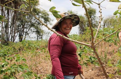 Participação do interior no PIB de Alagoas supera a capital, aponta IBGE