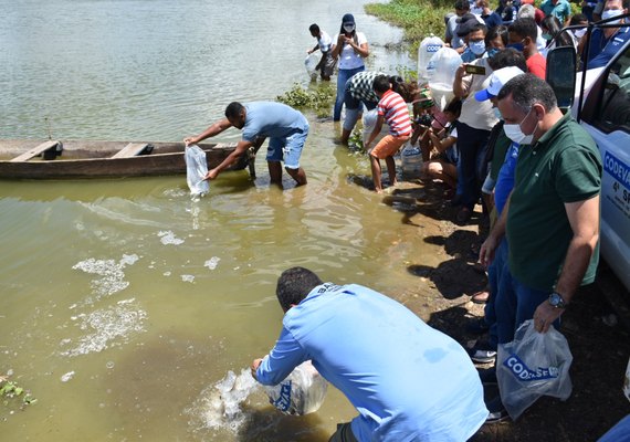 Codevasf e Ufal firmam protocolo de intenções para desenvolvimento regional em Alagoas