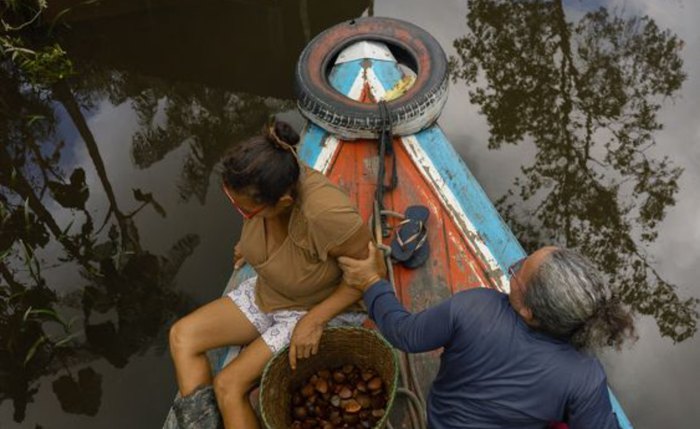 Natura lança startup de bioingredientes para conectar suas cadeias sustentáveis na Amazônia ao mercado global