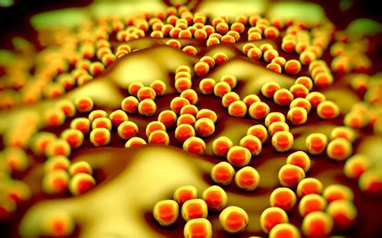 Uma a cada seis infecções bacterianas são resistentes a antibióticos, aponta relatório da OMS