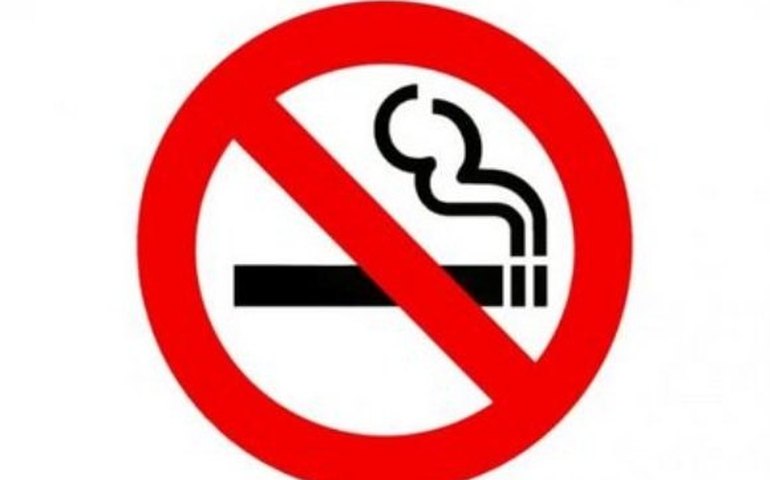 Comunidade educacional promove ações de conscientização contra o cigarro