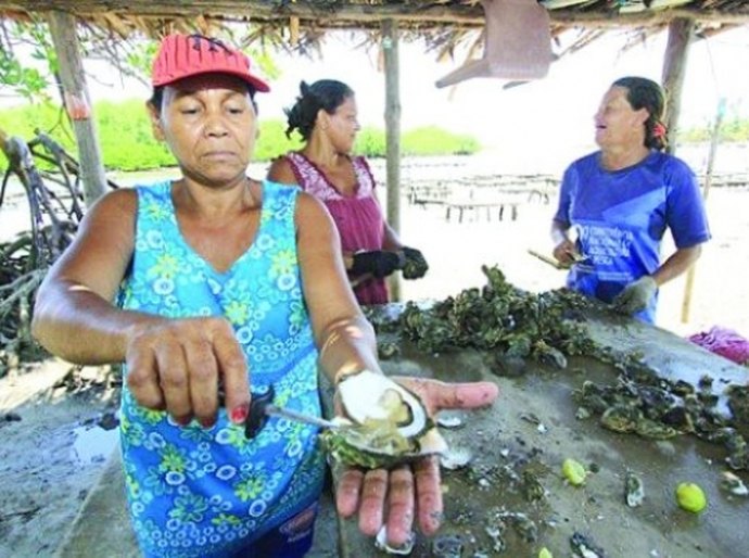 Alagoas vai sediar o I Seminário e Curso Internacional de Ostras