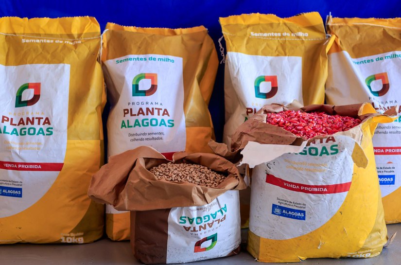 Planta Alagoas já atendeu mais de 35 mil agricultores familiares com entrega de cerca de 500 toneladas de sementes