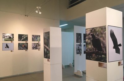Arapiraca: Exposição fotográfica “Aves de Alagoas” evidencia as belezas do nosso céu 