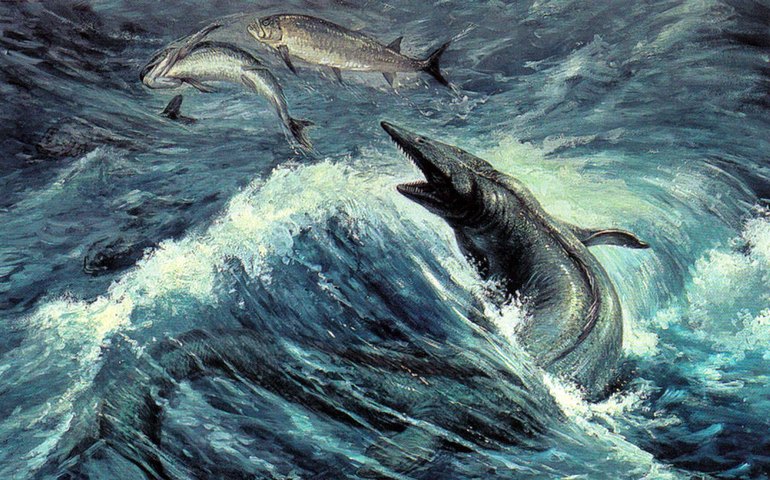 Fóssil de animal marinho com 3 olhos de mais de 500 milhões de anos é descoberto no Canadá (FOTO)