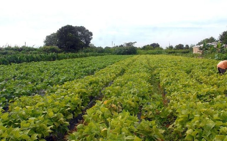 Agricultores do Reino Unido protestam contra alta de imposto