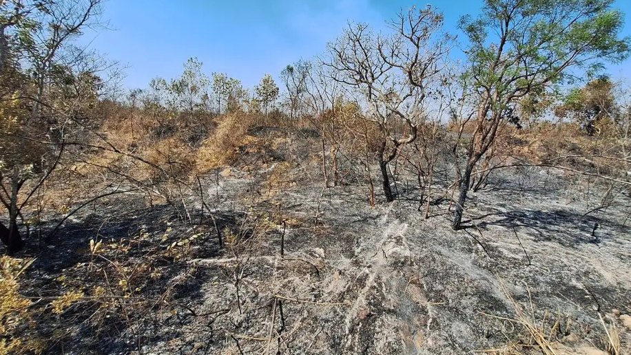 Mudanças climáticas já afetam 85% dos brasileiros, diz pesquisa