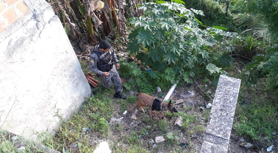 Suspeito de traficar drogas dentro de casa é preso em Nossa Senhora do Socorro