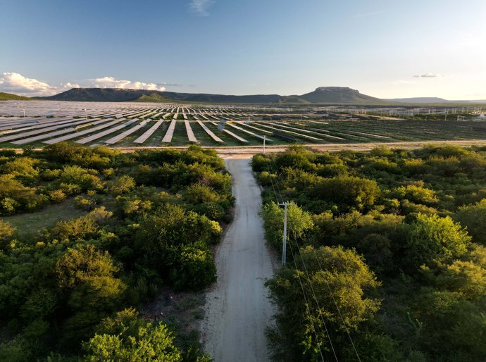 Levantamento aponta baixo compromisso de empresas de energia eólica e solar com direitos humanos