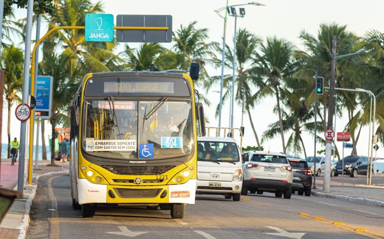 São João de Jaraguá terá ônibus de graça em sete dias de festa