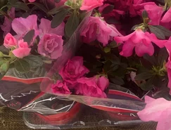 WhatsApp Image 2026-04-14 at 13.26.34.jpeg 