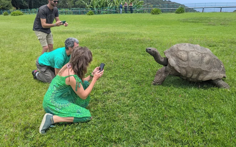 Tartaruga mais velha do mundo ainda está viva, apesar dos rumores em contrário