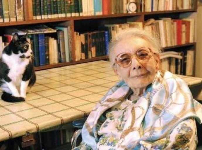 Secult lança programação da VII Festa Literária de Marechal Deodoro