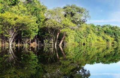 Concurso Dom Phillips e Bruno Pereira é uma resposta de reparação e defesa da Amazônia