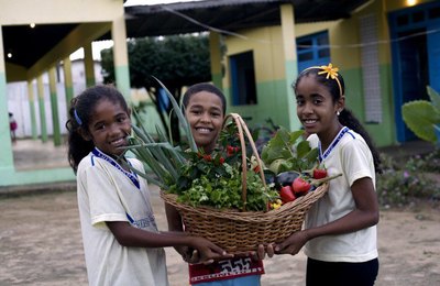 Novo Pronacampo: prazo para adesão é prorrogado até 30 de novembro