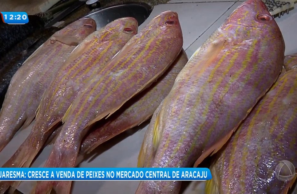 Peixe Quaresma