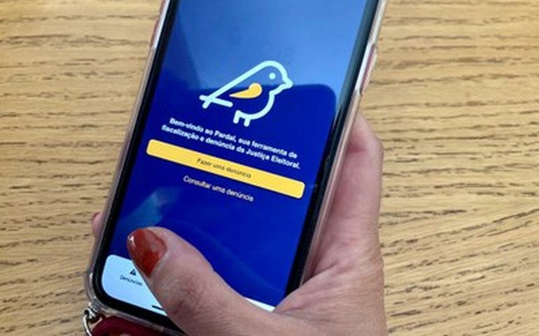 Passa de 100 o número de denúncias de propaganda irregular em Alagoas; saiba em quais municípios